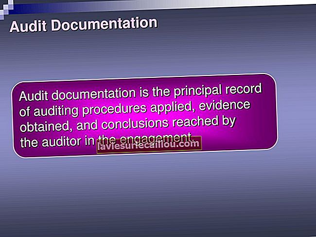 Documentația de audit
