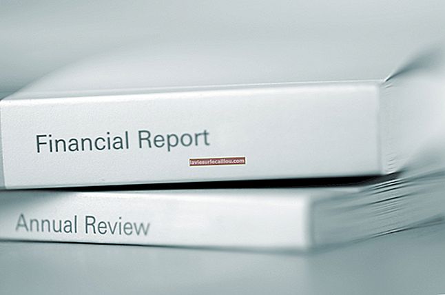 Raport financiar anual cuprinzător