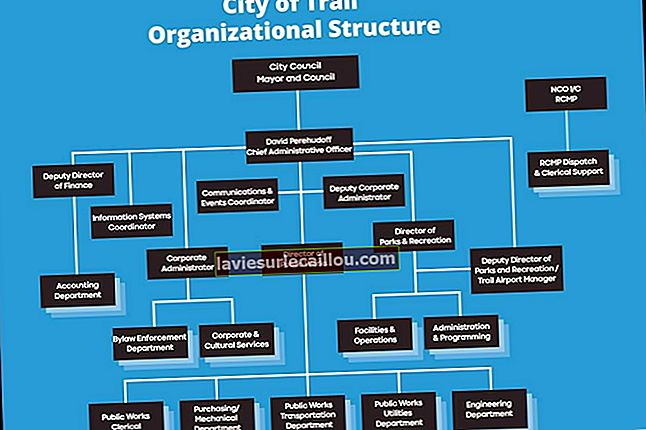 Divizijska organizacijska struktura