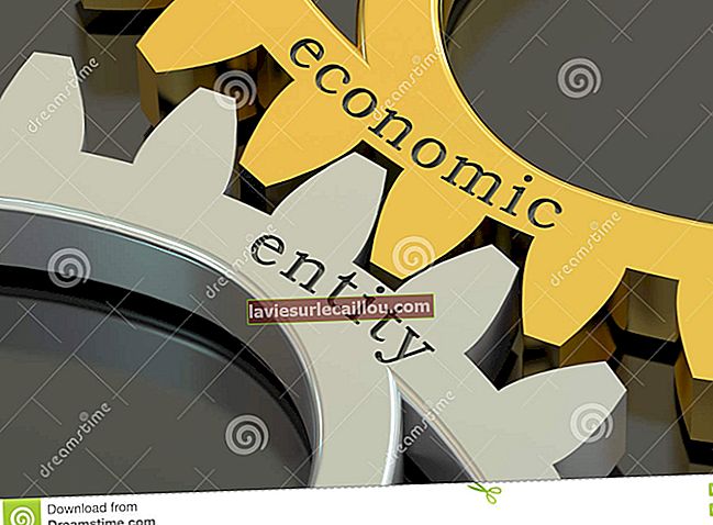 Principiul entității economice