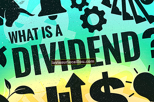 Opredelitev dividend